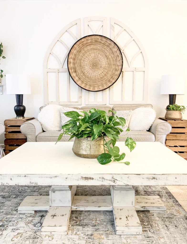 golden pothos houseplant as coffee table centerpiece